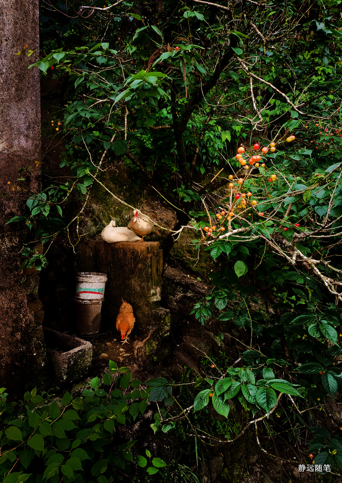 浙江富阳上官球拍有限公司,富阳上官乒乓球拍厂