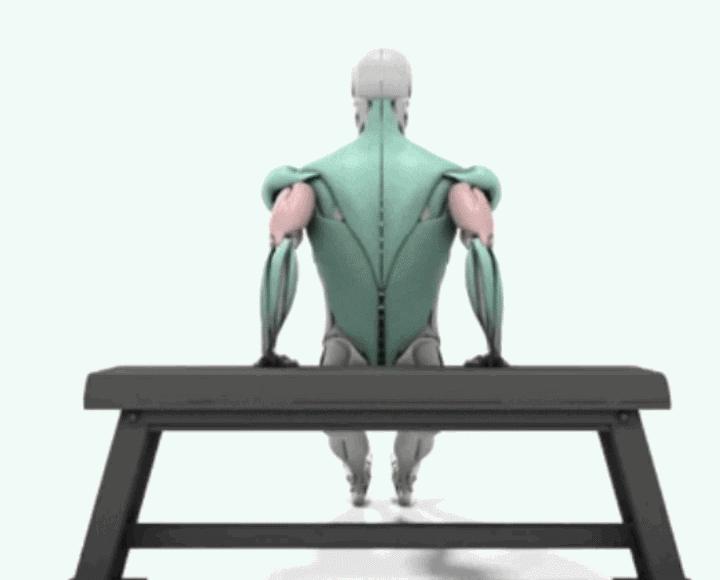 徒手运动的优缺点,都有哪些?掌握这些,在家也能练