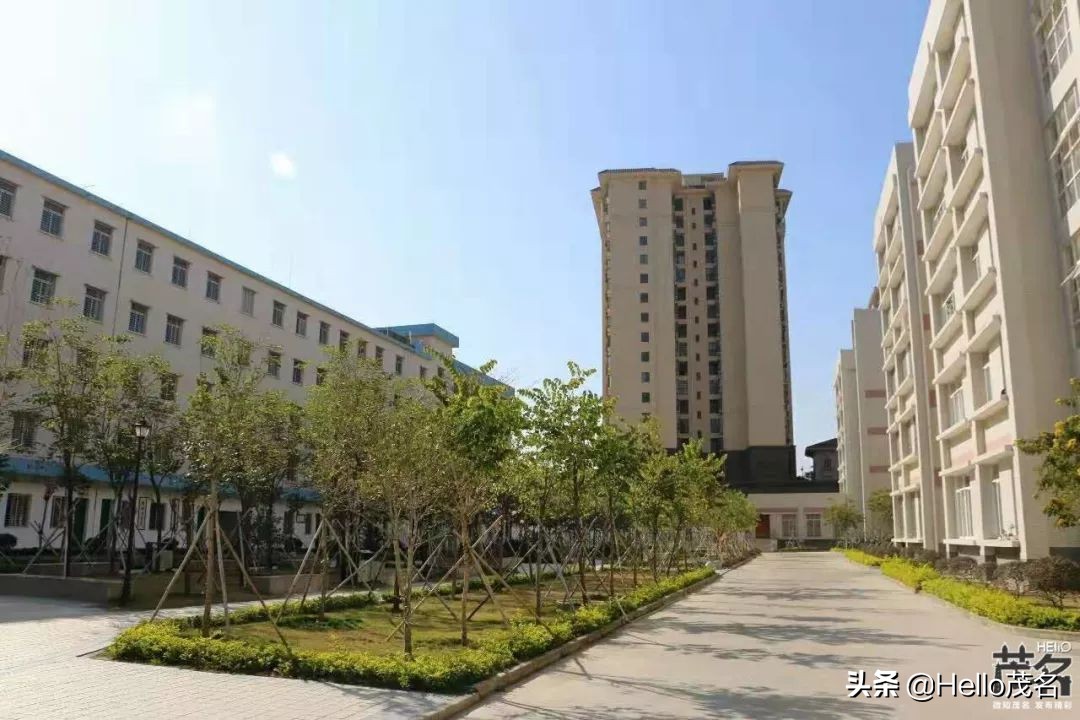 搴勫北涓,婊ㄦ捣鏂板尯搴勫北涓