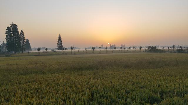 月薪10万的领队打算去跑滴滴,旅游业要冻死在春天吗