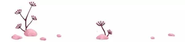 母猫怀孕了铲屎官升级了,猫咪怀孕了铲屎官应该怎么处理