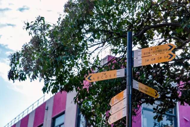 再见,合肥纺织机械厂!你好,长江180