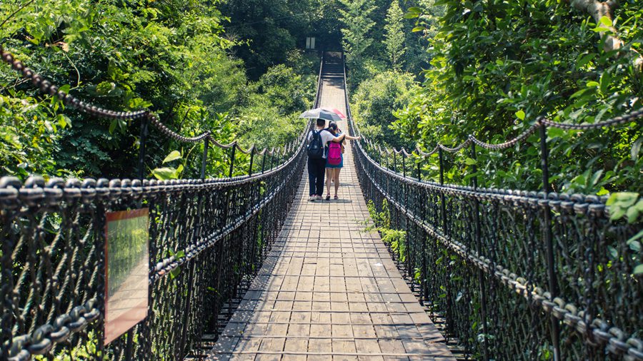 华侨城瀑布酒店房+餐+票，全部只要499！景区VIP通道免排队等你来