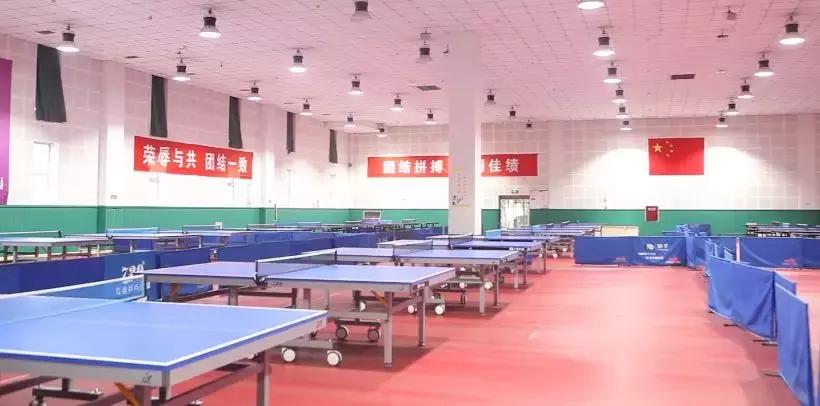 世警会真的来了吗,世警会即将举行完整版