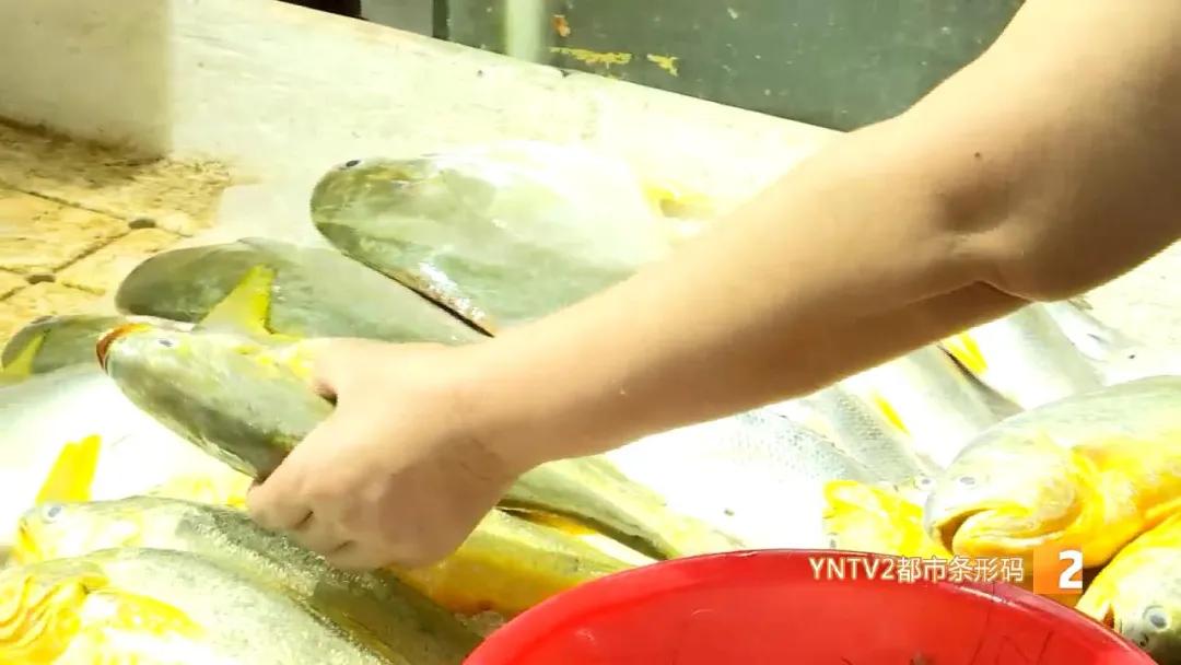 日本核废水排海后海鲜能放心吃吗,海鲜还能吃吗官方回应