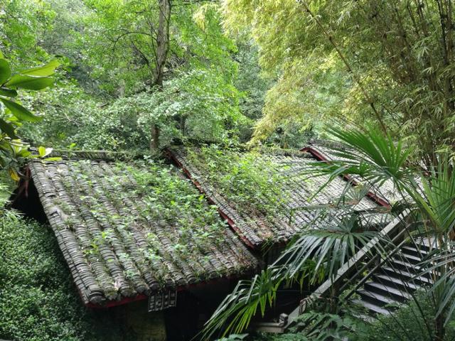 带着93岁老母亲旅行,抬着90多岁的老母亲上山旅游