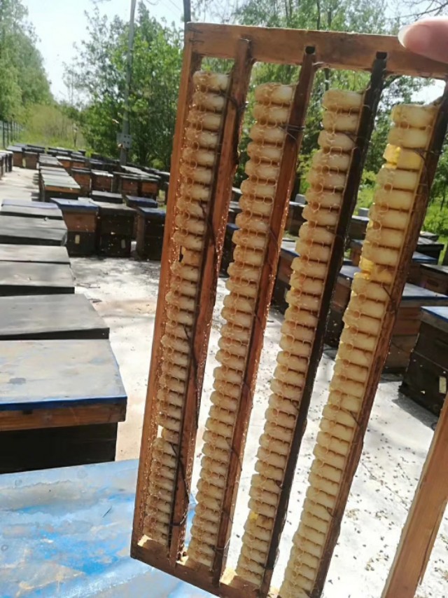 进来看看吧迟早用得上，蜂王浆怎么辨别真假！