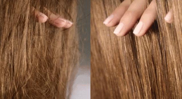 dyson戴森家用速干电吹风,小米吹风机99元经济款