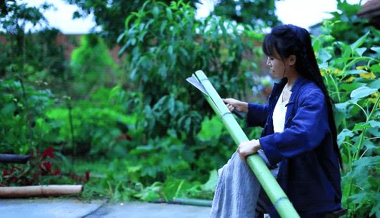 停更3个月的李子柒,李子柒停更仍月入78万