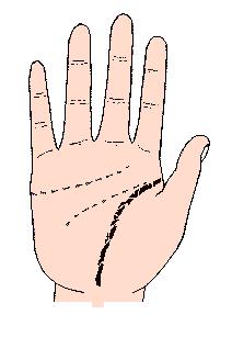 手相解密,手相掌纹分析学