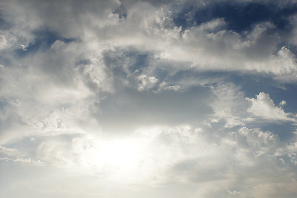 国外野生斑鸠窝图片,最简单斑鸠窝