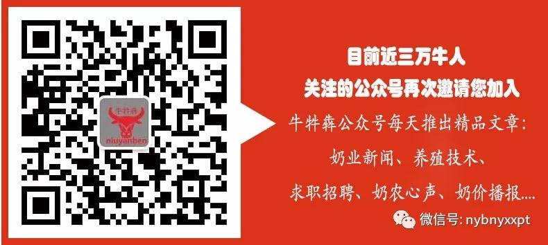 选择奶牛注意事项,提高奶牛舒适度的管理技巧