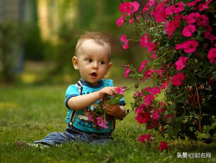 宝宝起名儒雅大气的男孩名字,宝宝起名吉祥如意的男孩名字大全