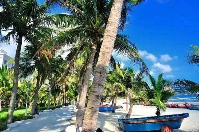 广东小帕劳,下川岛小帕劳