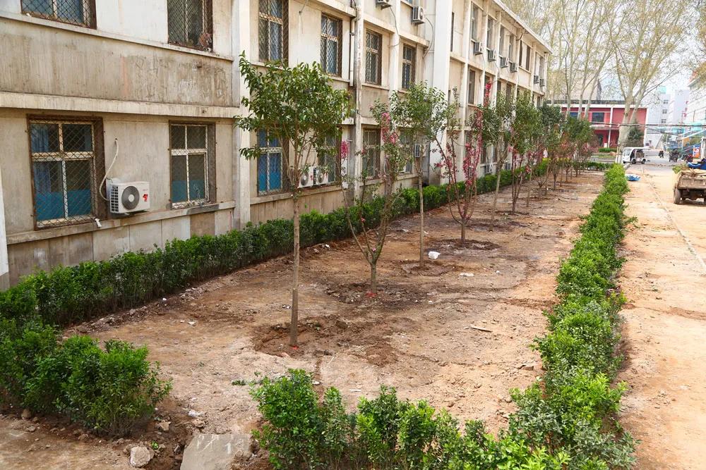 新学期有哪些新变化,许昌职业技术学院新学期工作