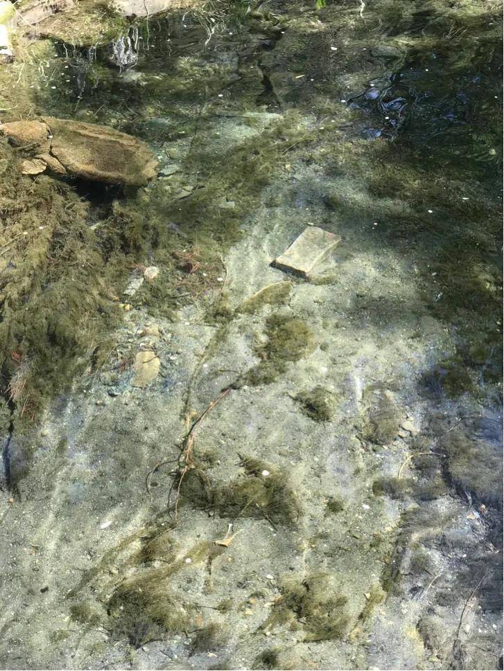 水磨沟公园今天开吗,水磨沟公园别墅