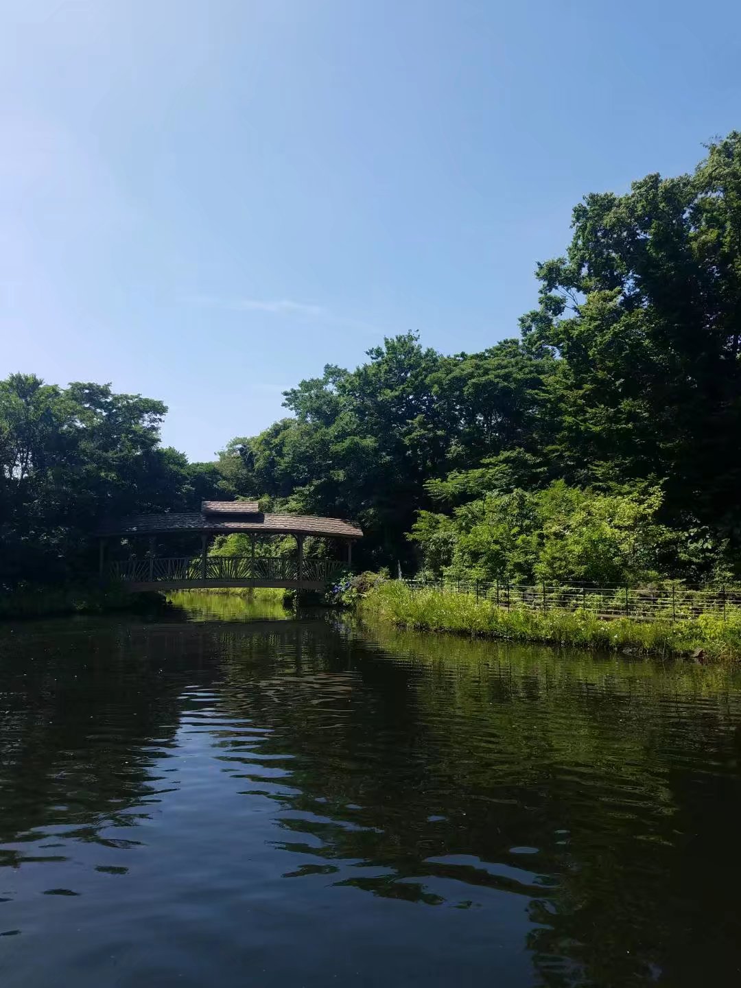 济州岛万丈窟旅游攻略,济州岛万丈窟