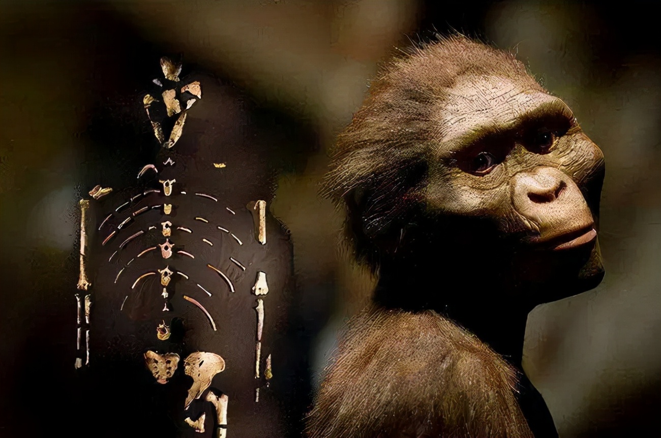 114万年前,人类全身毛发褪去,保留了头发、腋毛和阴毛,为啥?