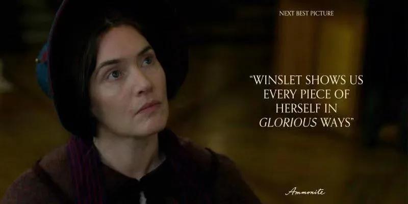 《菊石》的后劲：沉浸体验式的阅片过程，前所未有