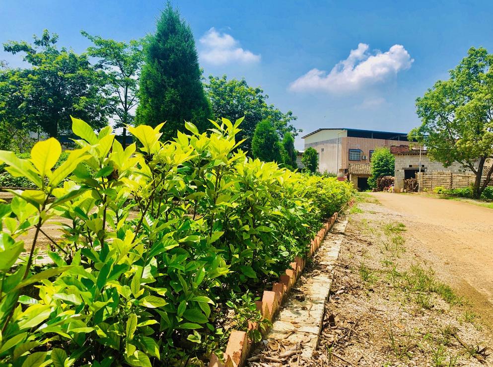 这个村子真美图片,村子里的风景真美