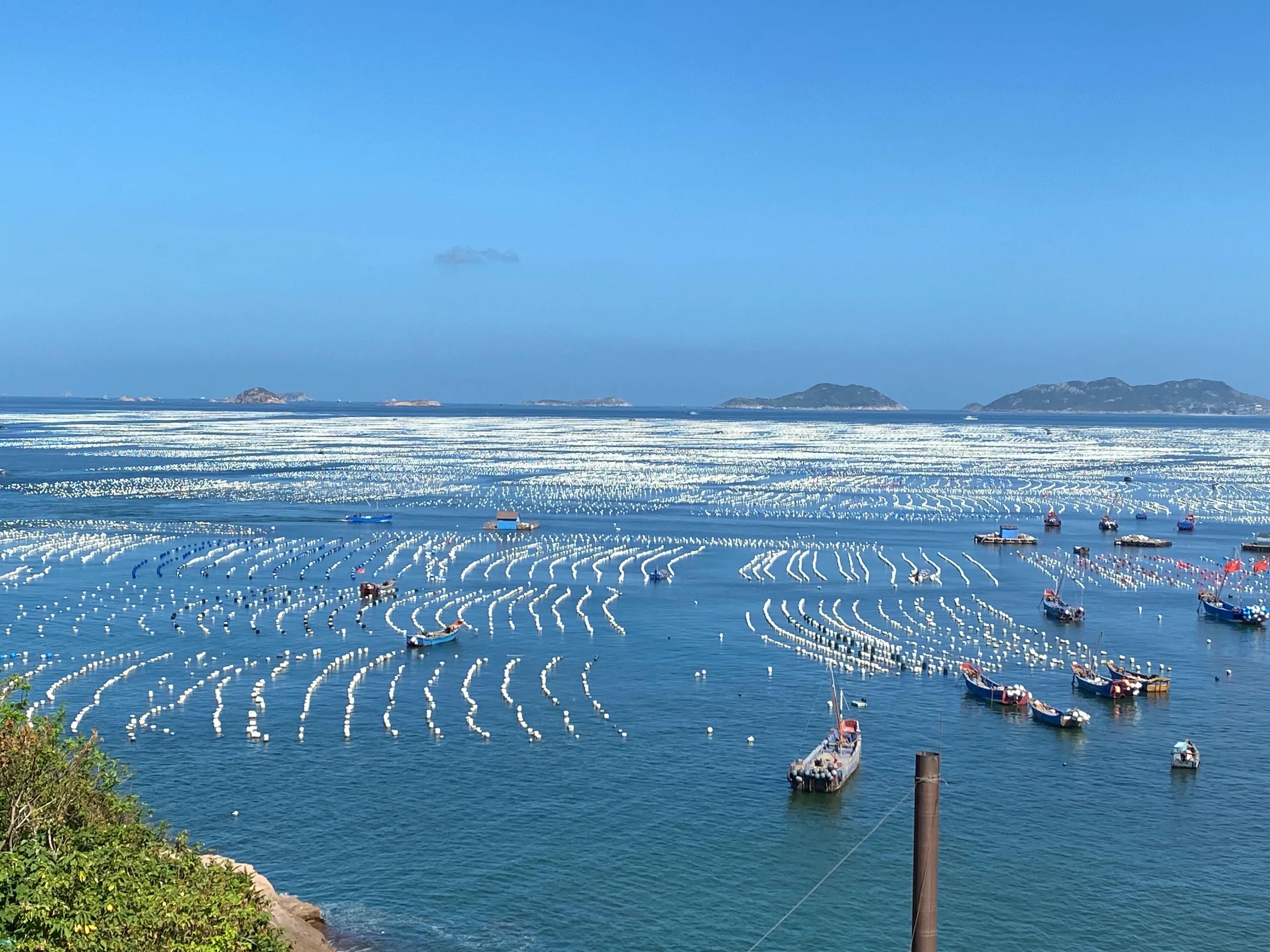 嵊山旅游攻略必去景点推荐,嵊山枸杞景区跟团