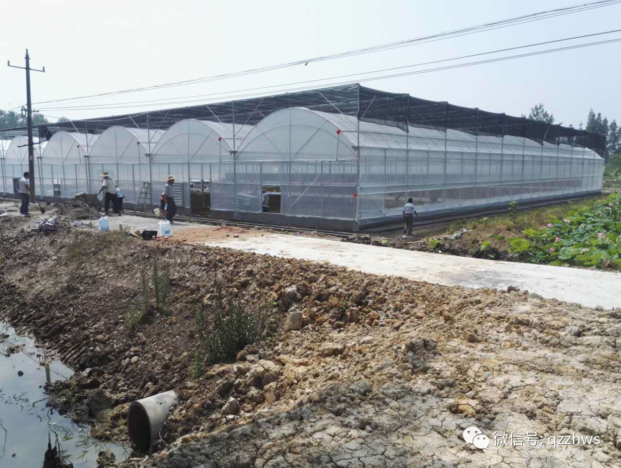 温室设计建造常用解决方案,温室设计标准图集