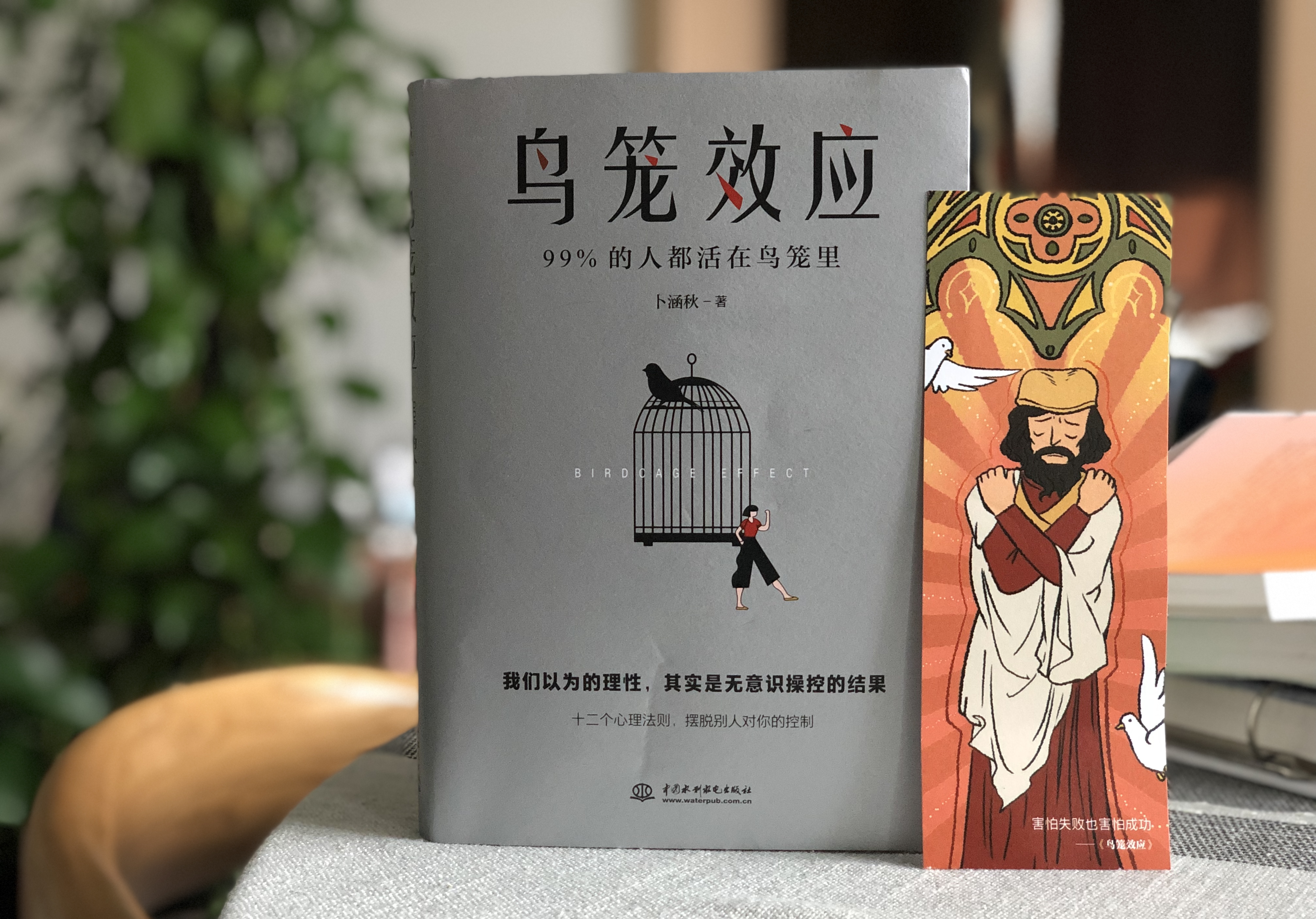 鸟笼效应十大效应,鸟笼效应启发