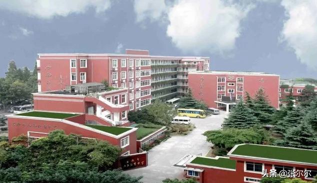 上海西南位育高中国际部,上海国际学校国际部高中