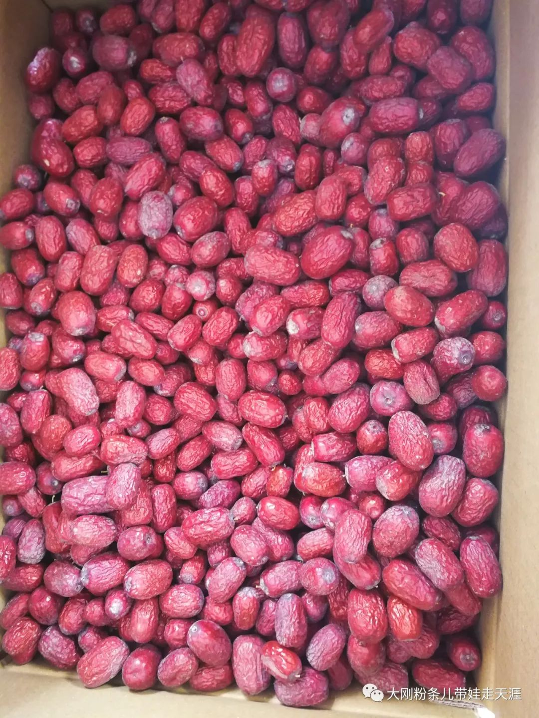 舌尖上的旅行带你领略旅行的美好,环游中国边界