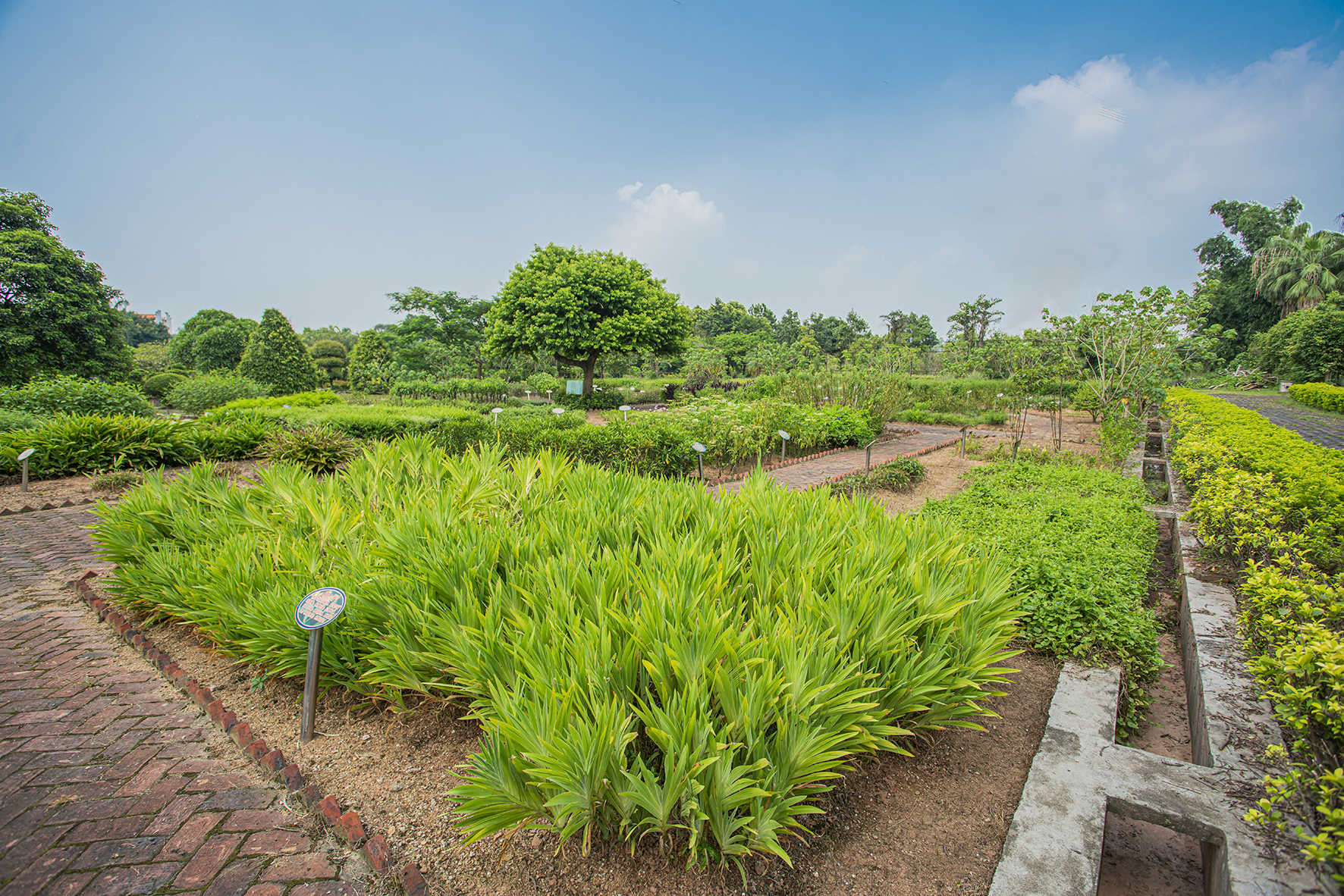侨鑫生态园景区,华南生态休闲农庄