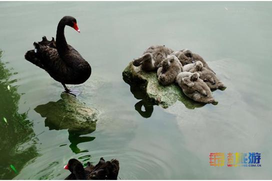 夏天就要去没有太阳的城市避暑,夏天就是要出去玩