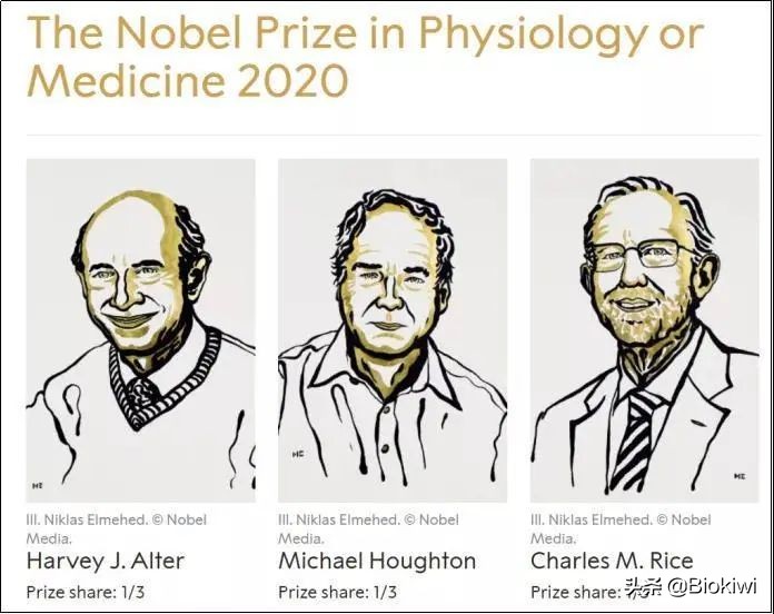 丙肝没病毒了还需要治疗吗,没有病毒的丙肝能传染吗