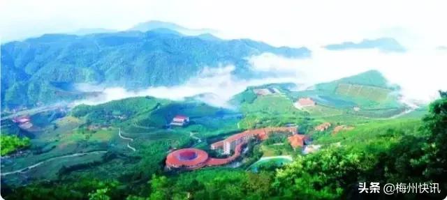 对不起，我要回梅州了！