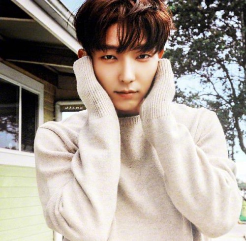 韩剧男主角单眼皮小眼睛推荐,韩剧中的男神都是谁