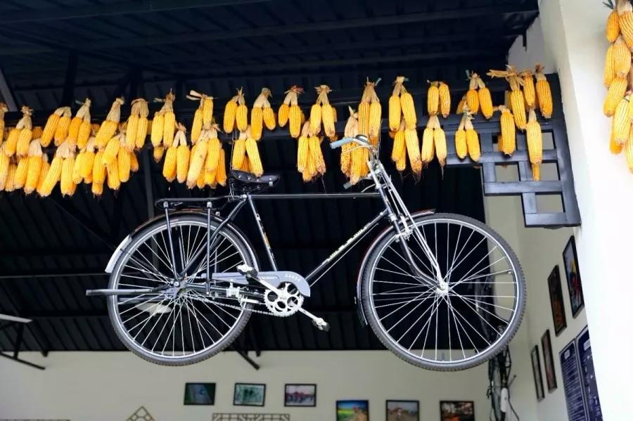 青城山熊猫谷都江堰一日游攻略,熊猫谷青城山都江堰一日游攻略