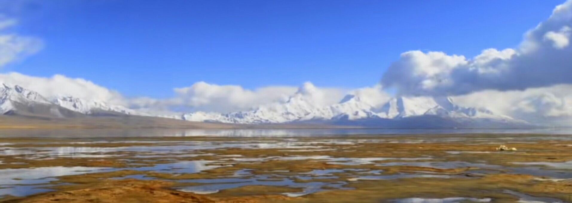 佛家讲清除杂念的咒语,佛家去淫除欲口诀