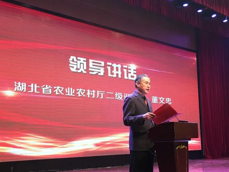 第三届中国茶旅大会圆满落幕，五峰县茶产业的“破圈”之路