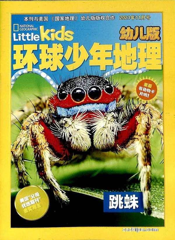 如何订阅高端杂志,杂志在哪里订阅最好