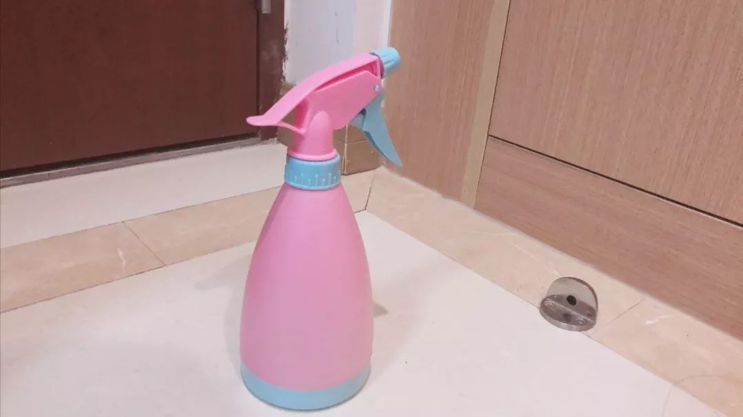 养猫的房间可以用酒精消毒吗,疫情养狗狗家里怎么消毒