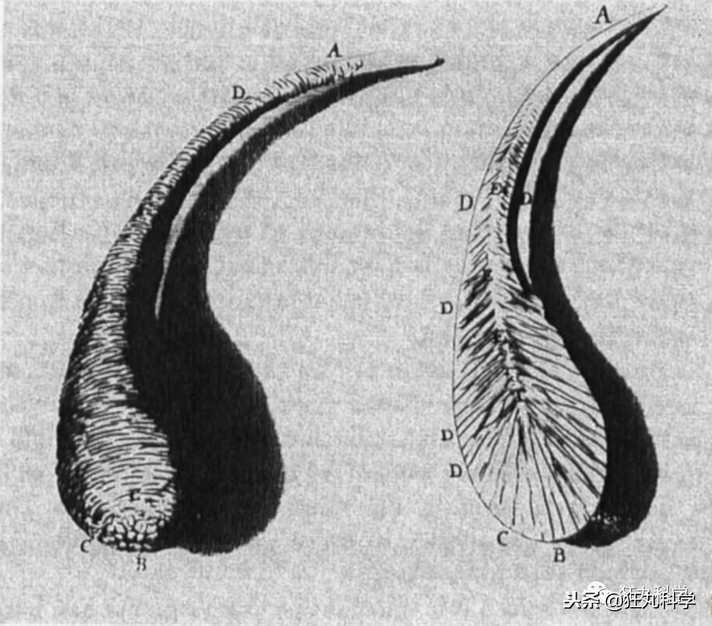 弹珠打玻璃玻璃不碎,弹珠打玻璃会碎碎吗