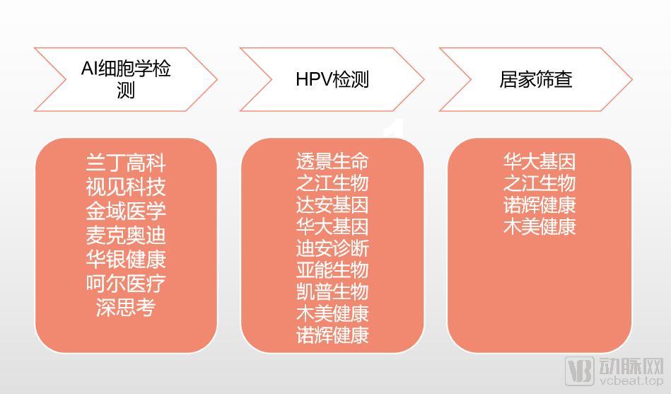 超300亿规模的宫颈癌早筛领域,HPV和AI等创新检测企业如何布局?