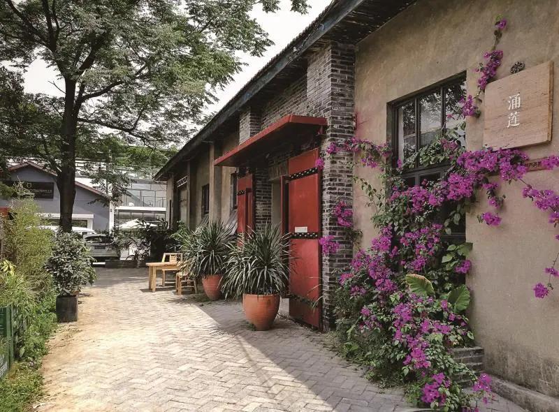 2020年脑洞大开的创业项目,成都脑洞大开