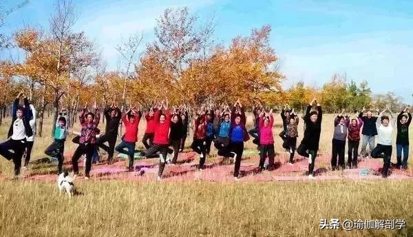 瑜伽毁了,辟谣瑜伽毁了多少女性