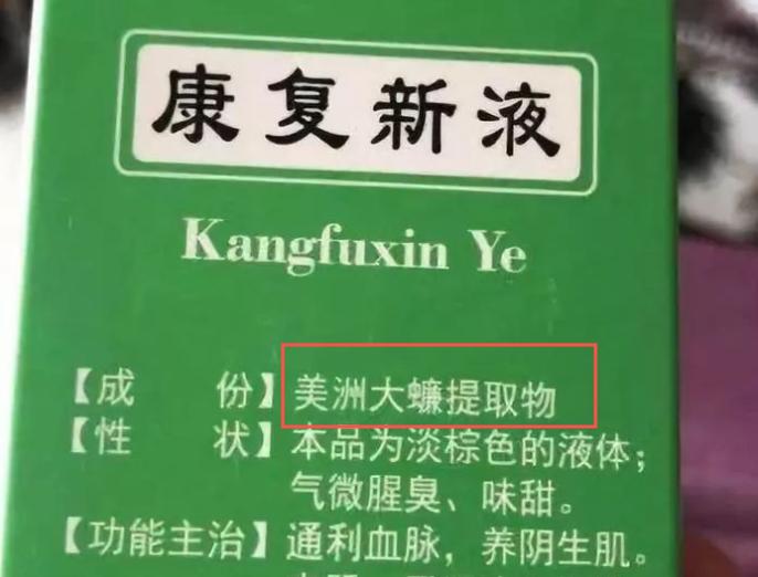 广东的蟑螂到底有多大,广东的蟑螂到底有多可怕