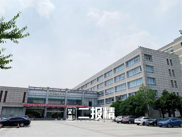 芜湖最新重大项目名单,芜湖大手笔