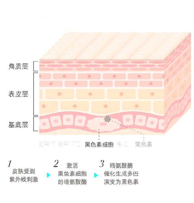 乐幂温柔以待，美肌顷刻拥有！