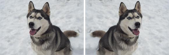 训练数据较少时如何生成更多的数据