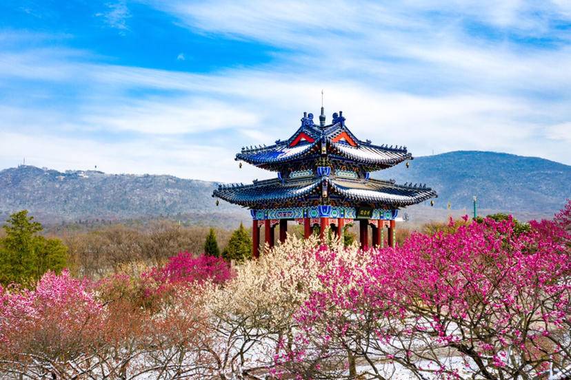 南京梅山和梅花山,南京梅花山第一梅山高清大图