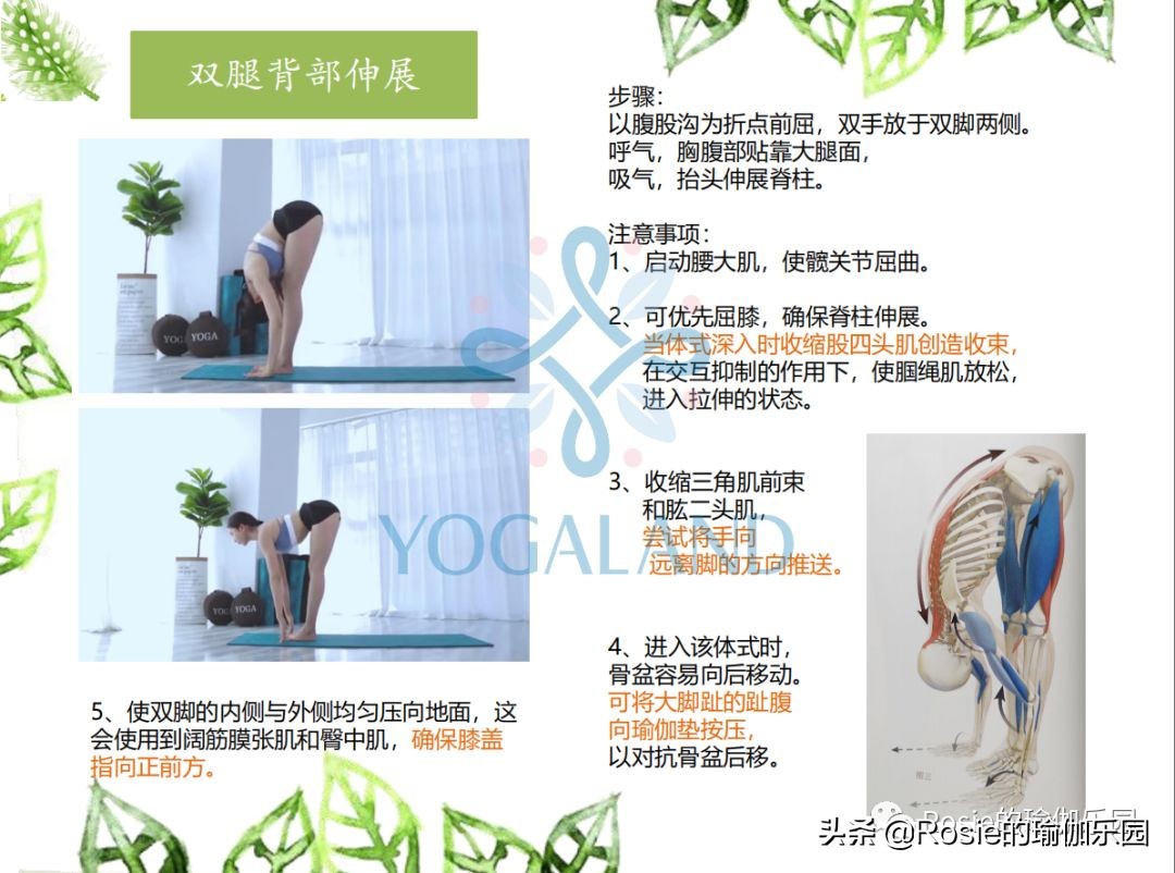 瑜伽小白如何在家自己练瑜伽,瑜伽零基础入门的基本体式有哪些