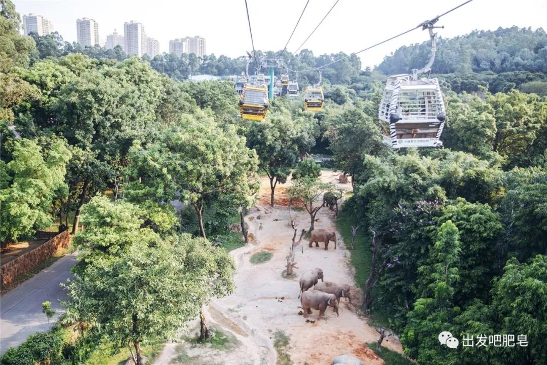 长隆飞鸟乐园怎么去长隆欢乐世界,汉溪长隆地铁站去长隆飞鸟乐园